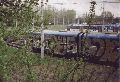 male_des-14